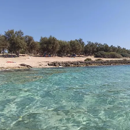 Dimora Komorebi